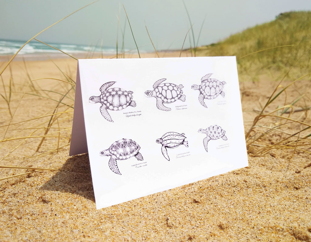 Ocean turtles (greeting card)