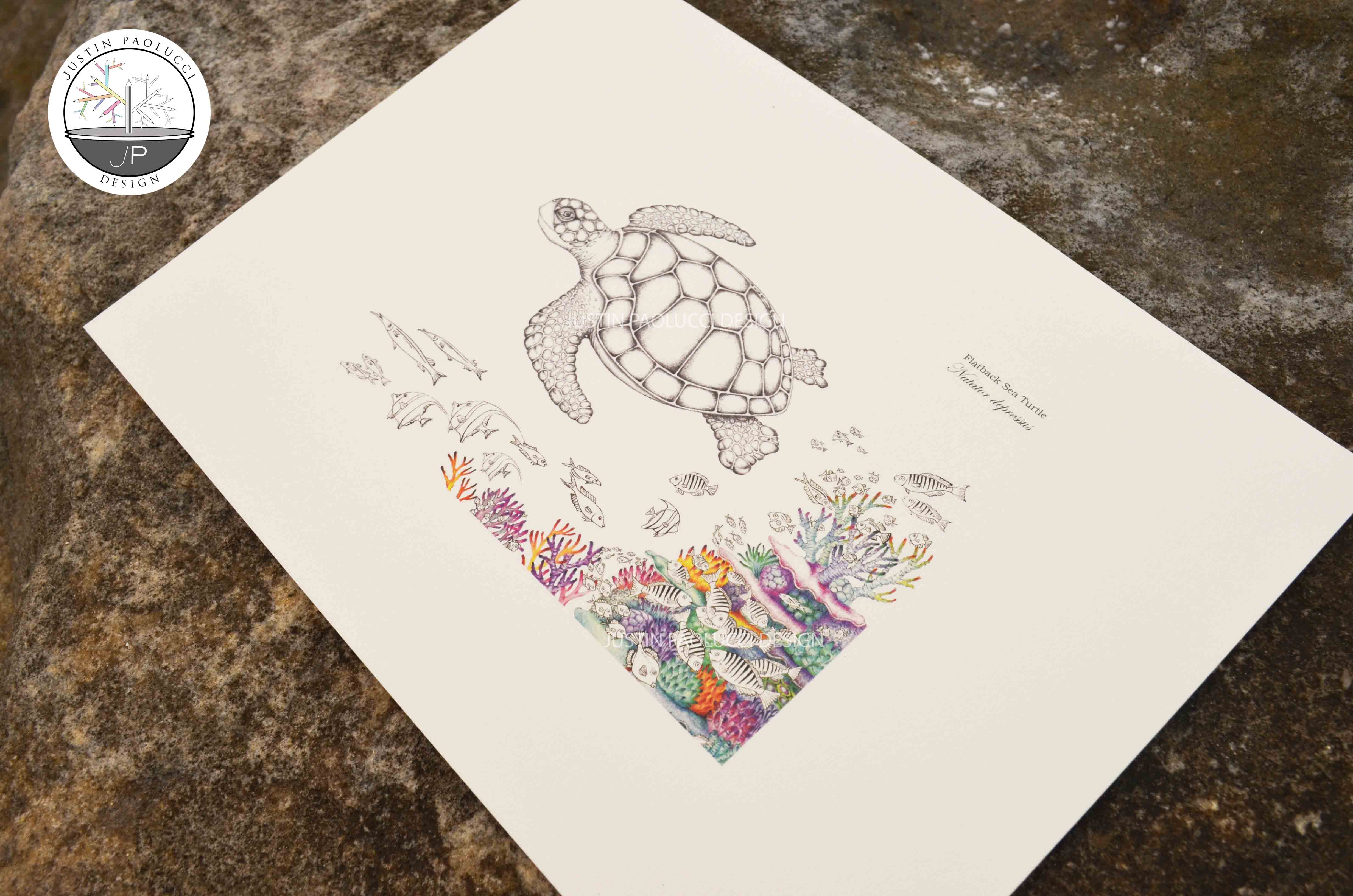 Flatback Turtle (print)