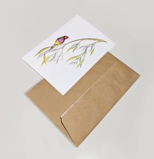 Gouldian Finch (greeting card)