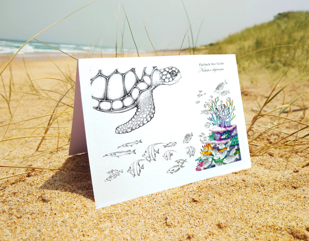 Flatback Turtle (greeting card)