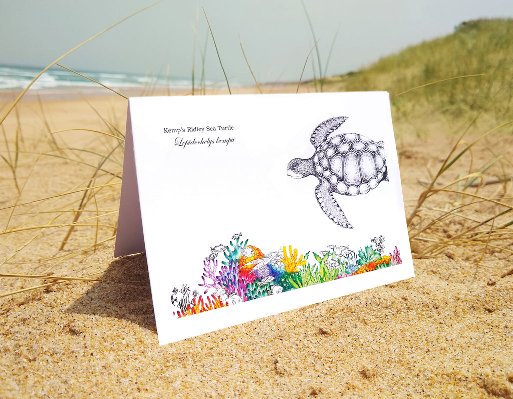 Kemp Ridley Turtle (greeting card)