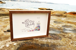 Flatback Turtle (print)