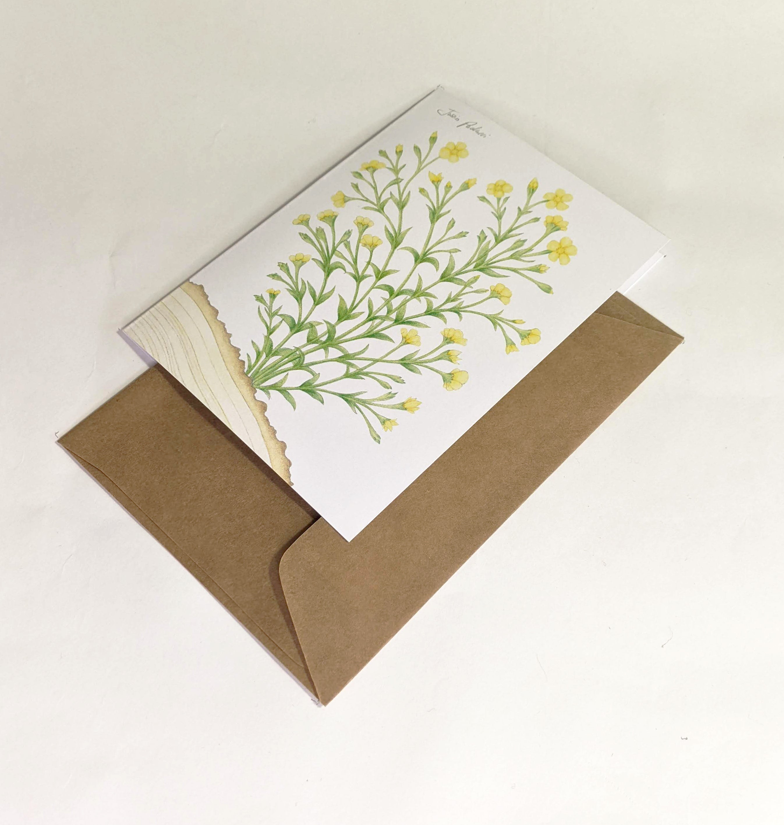 Tiny Print Greeting Cards