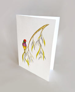 Gouldian Finch (greeting card)