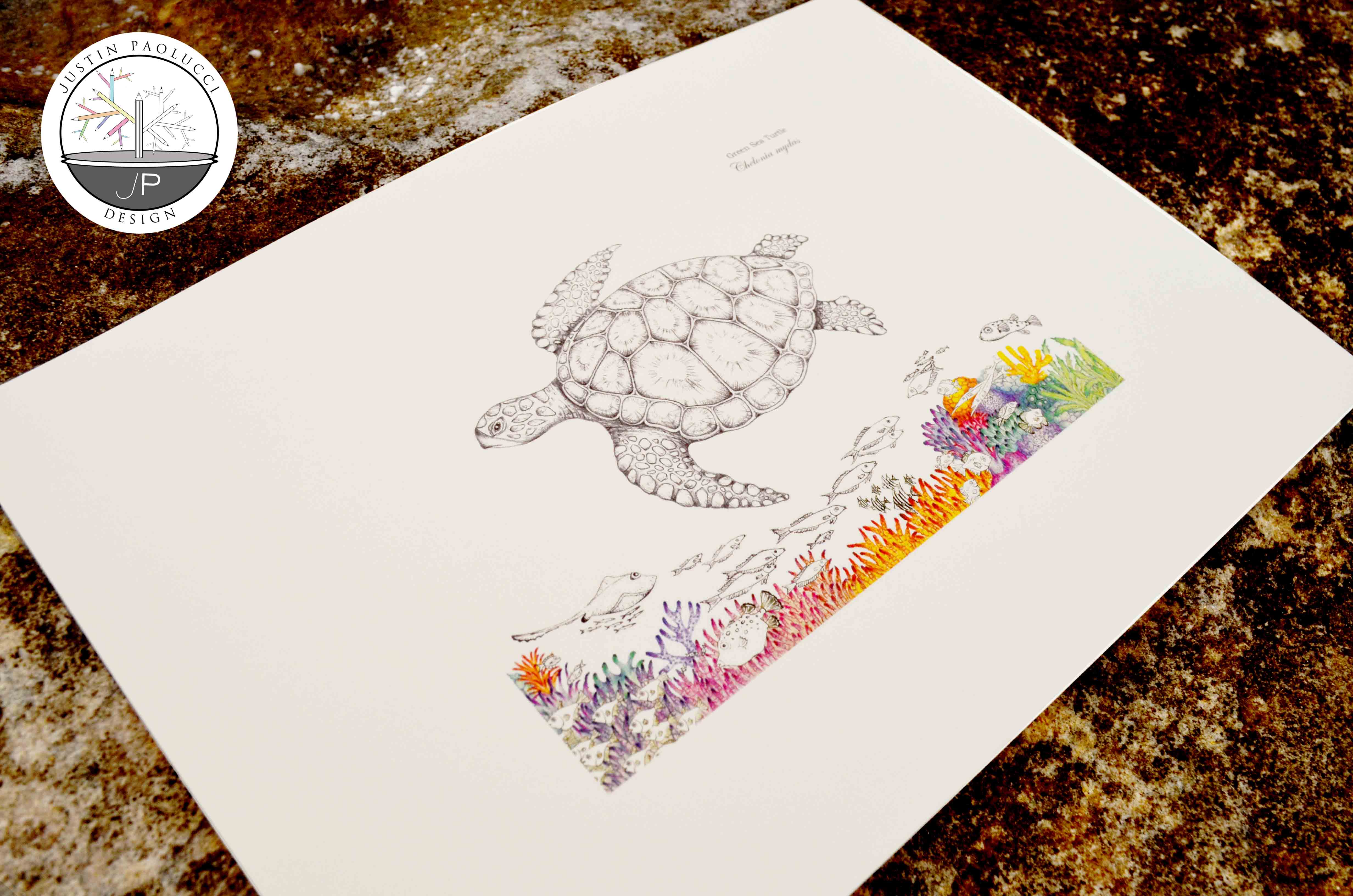 Green Turtle (print)