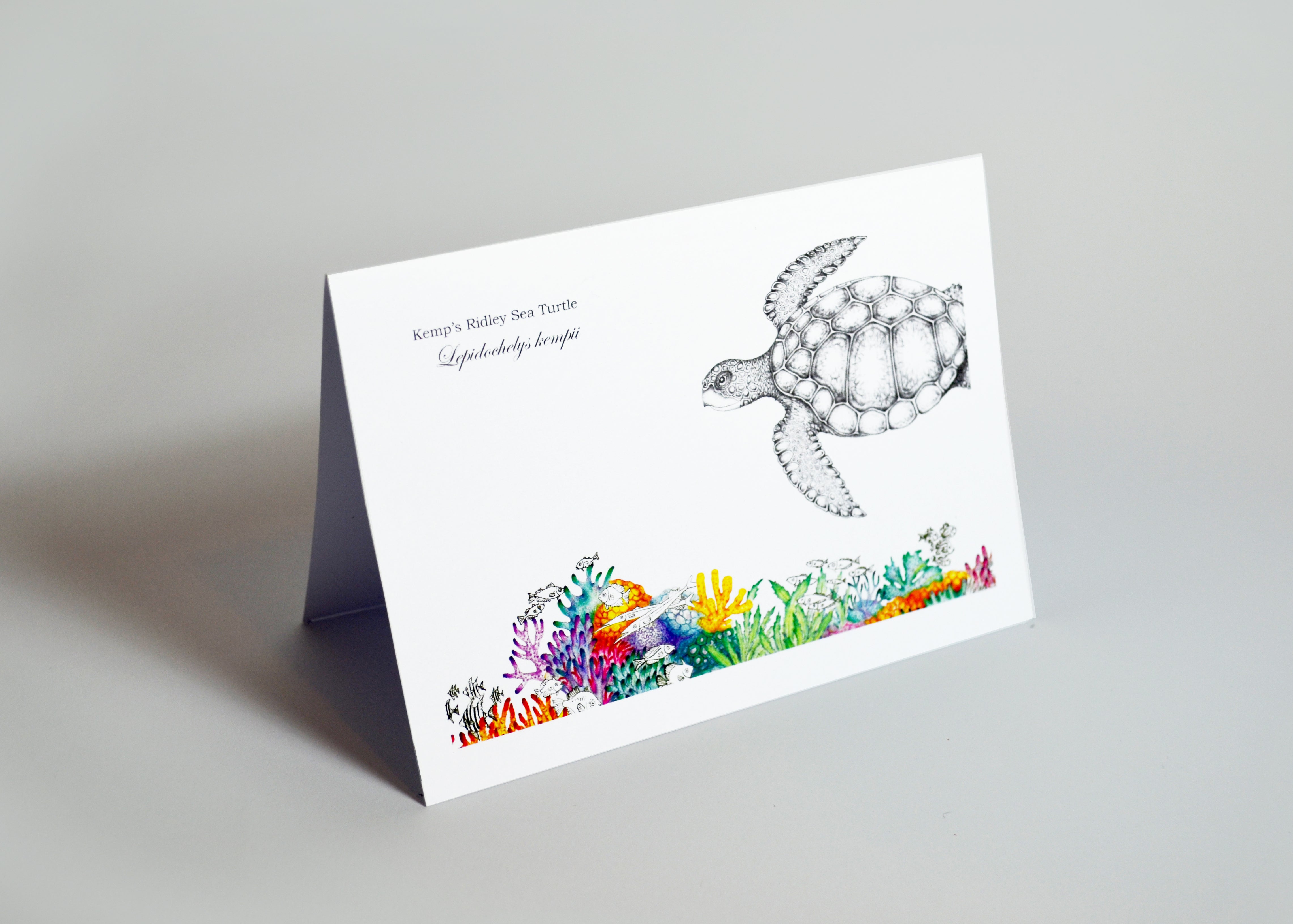 Kemp Ridley Turtle (greeting card)