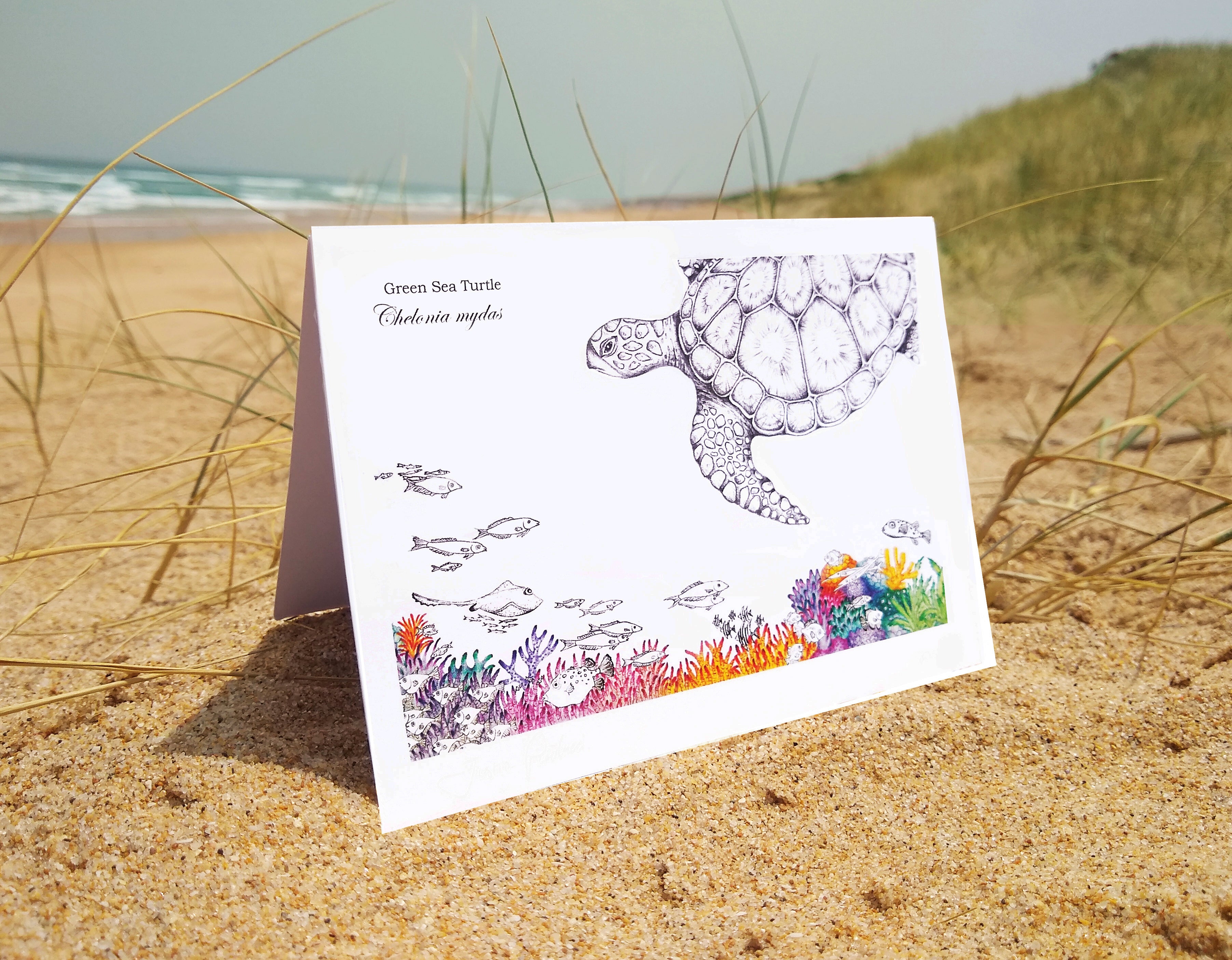 Green Turtle (greeting card)